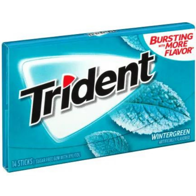 Trident Sugarfree Wintergreen Gum 14 CT